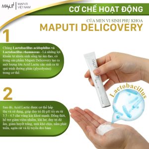 cơ chế hoạt động của men vi sinh phụ khoa