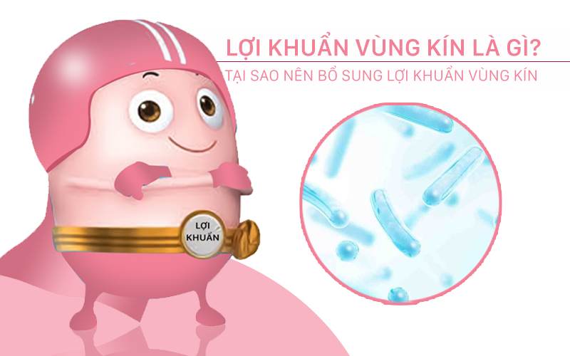 lợi khuẩn vùng kín là gì